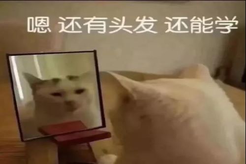 微信图片_20201207193712.jpg